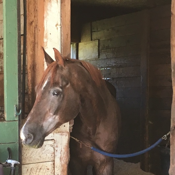 Welcome! - Picture 6 of 7